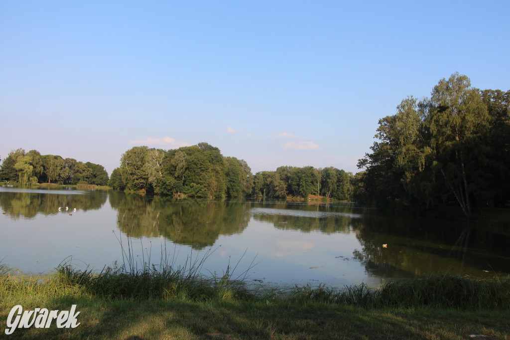 Park w Świerklańcu. Miejsce w sam raz na upały [FOTO]