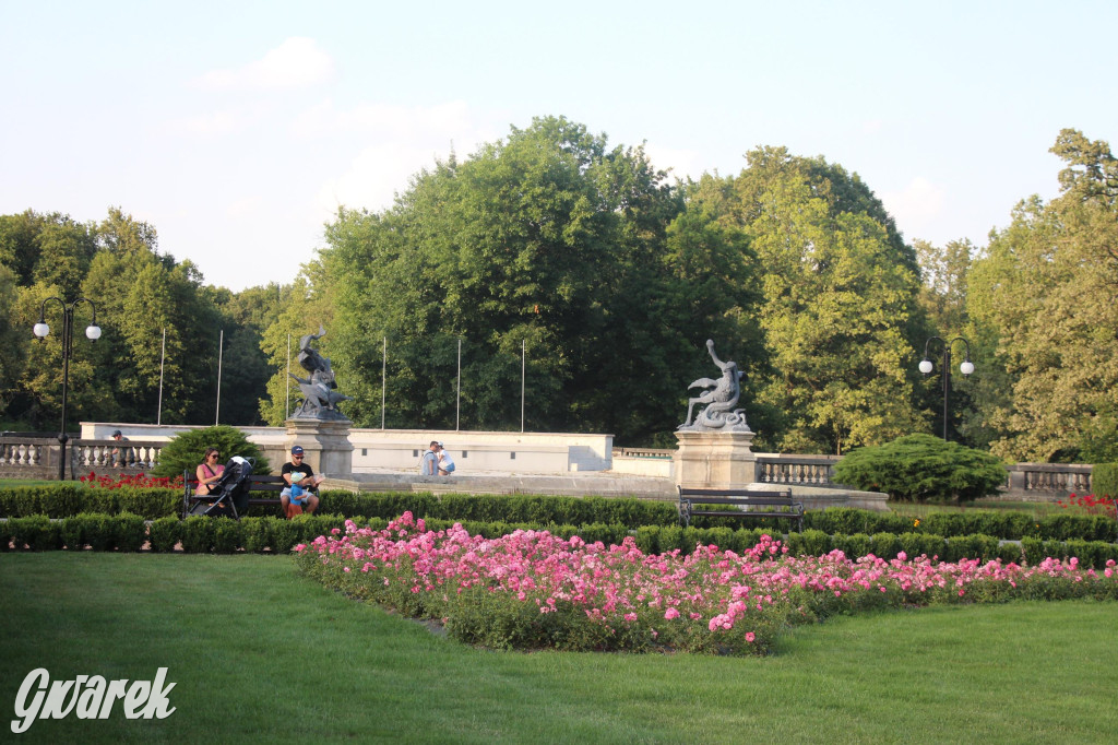 Park w Świerklańcu. Miejsce w sam raz na upały [FOTO]