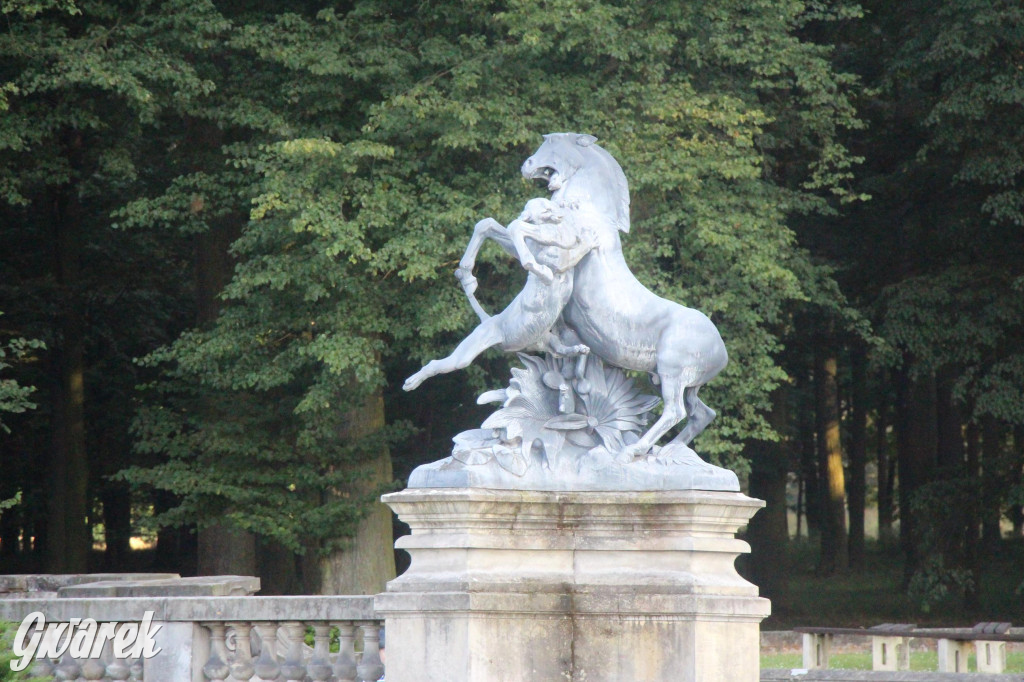 Park w Świerklańcu. Miejsce w sam raz na upały [FOTO]