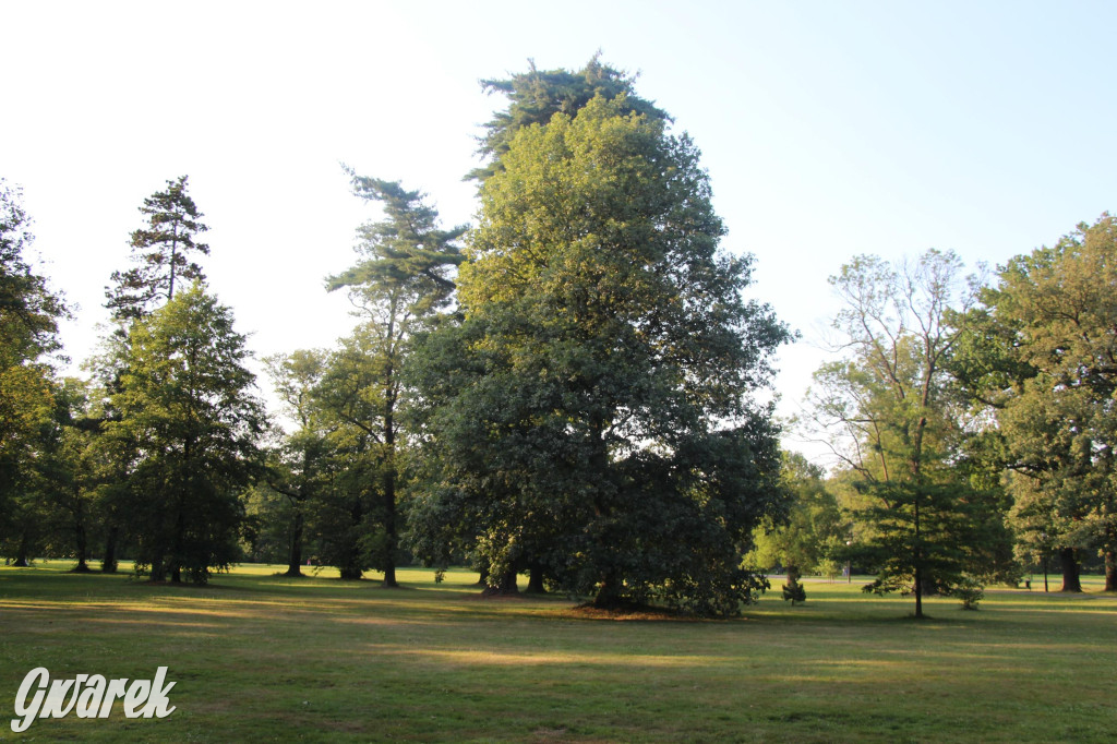 Park w Świerklańcu. Miejsce w sam raz na upały [FOTO]