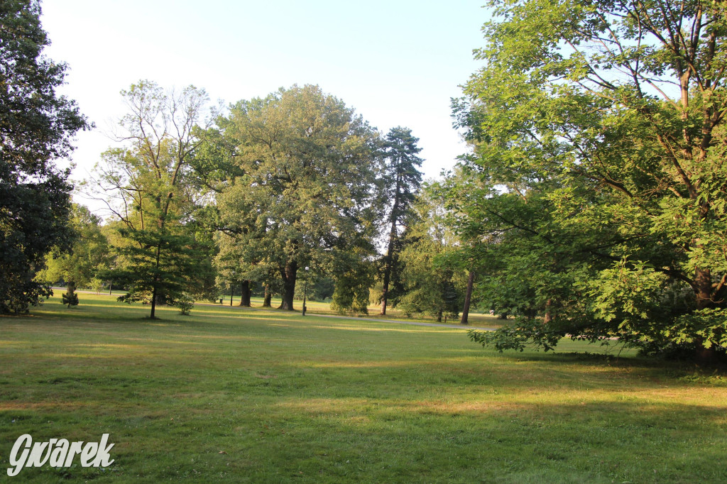 Park w Świerklańcu. Miejsce w sam raz na upały [FOTO]