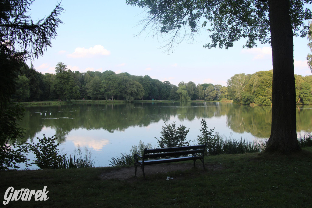 Park w Świerklańcu. Miejsce w sam raz na upały [FOTO]