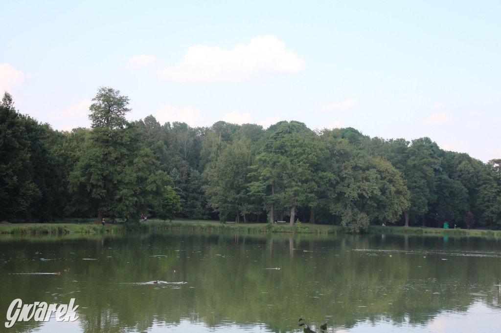 Park w Świerklańcu. Miejsce w sam raz na upały [FOTO]