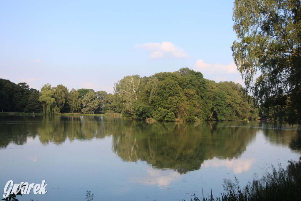 Park w Świerklańcu. Miejsce w sam raz na upały [FOTO]