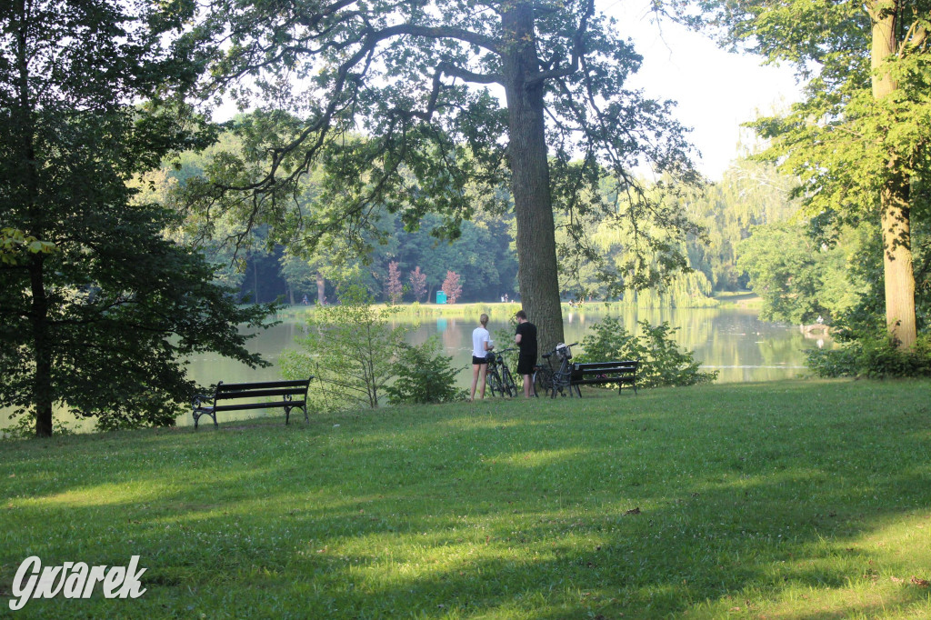 Park w Świerklańcu. Miejsce w sam raz na upały [FOTO]