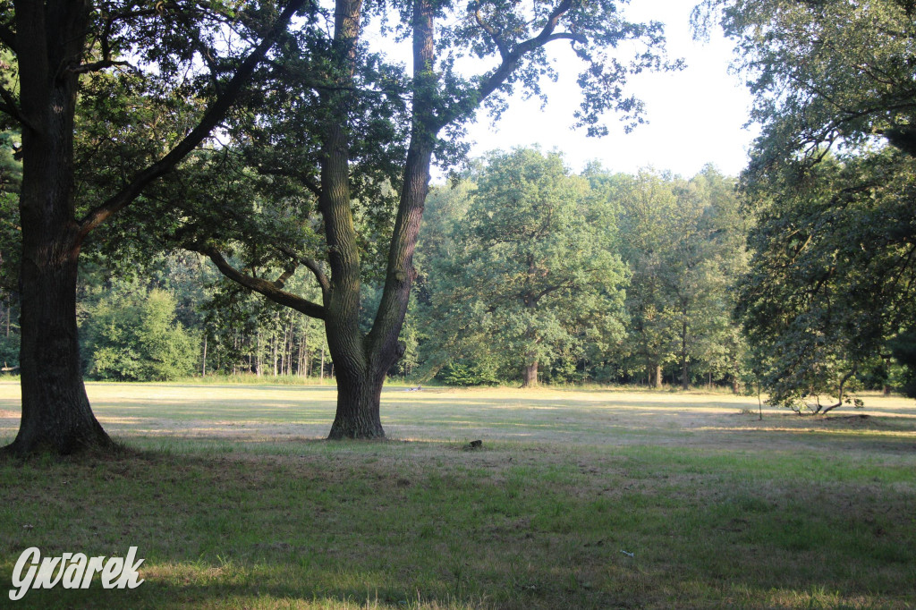 Park w Świerklańcu. Miejsce w sam raz na upały [FOTO]