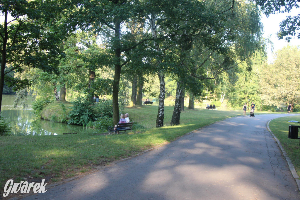 Park w Świerklańcu. Miejsce w sam raz na upały [FOTO]