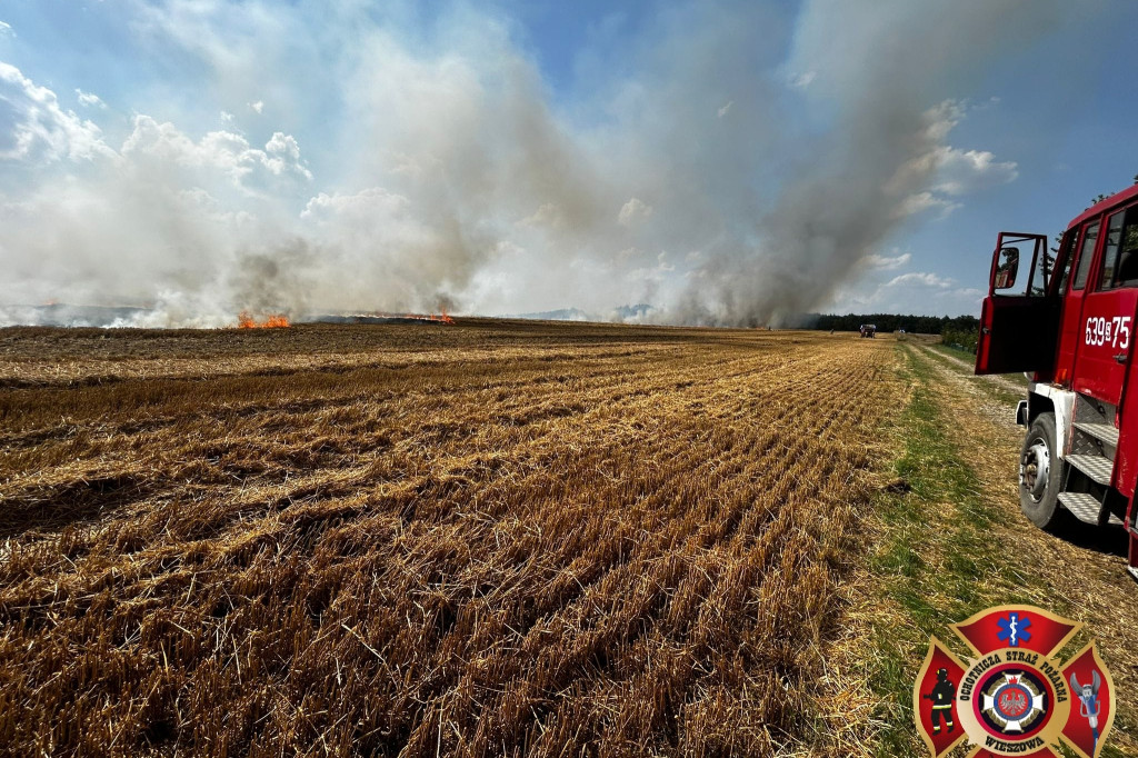 Z pożarem walczyło kilkudziesięciu strażaków i helikopter