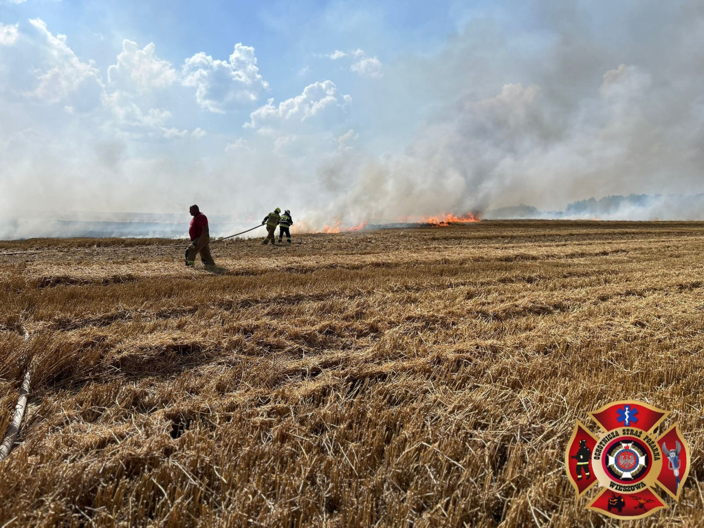 Z pożarem walczyło kilkudziesięciu strażaków i helikopter