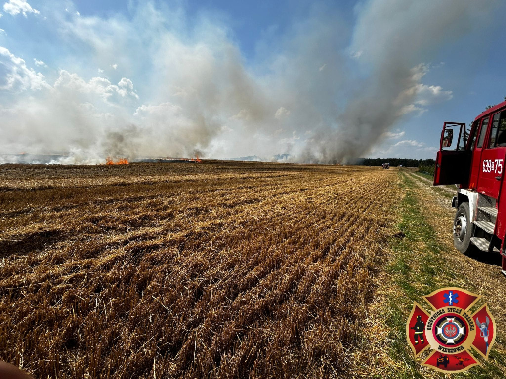 Z pożarem walczyło kilkudziesięciu strażaków i helikopter