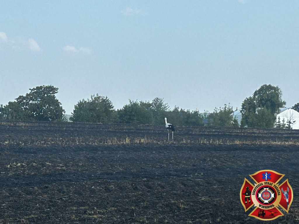 Z pożarem walczyło kilkudziesięciu strażaków i helikopter