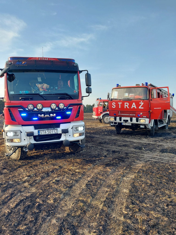 Z pożarem walczyło kilkudziesięciu strażaków i helikopter