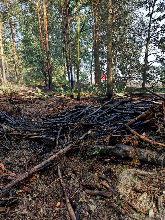 Z pożarem walczyło kilkudziesięciu strażaków i helikopter