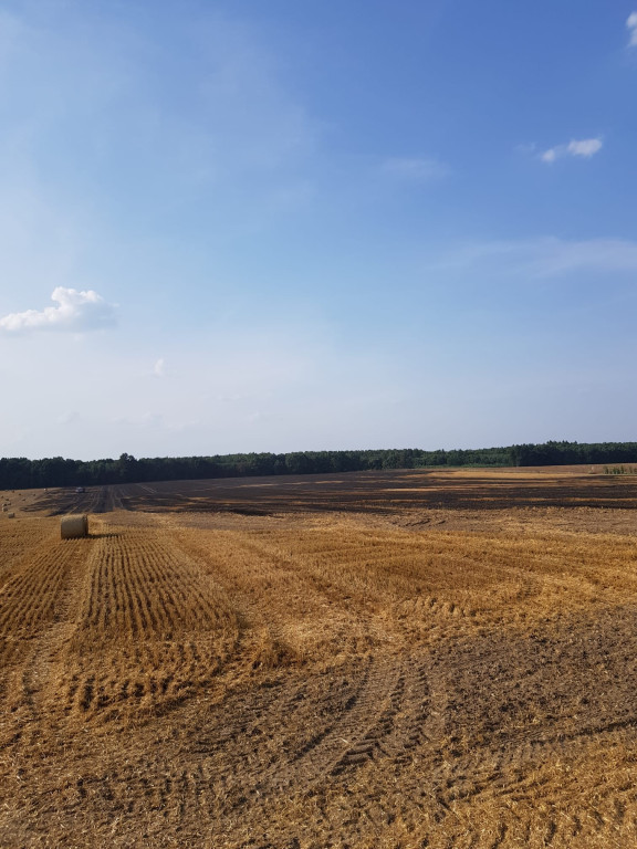 Z pożarem walczyło kilkudziesięciu strażaków i helikopter