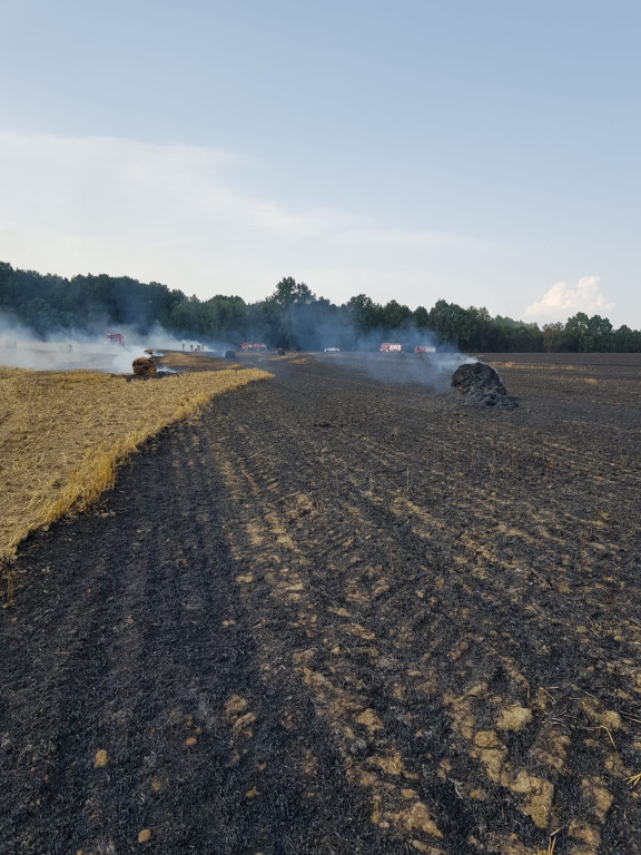 Z pożarem walczyło kilkudziesięciu strażaków i helikopter