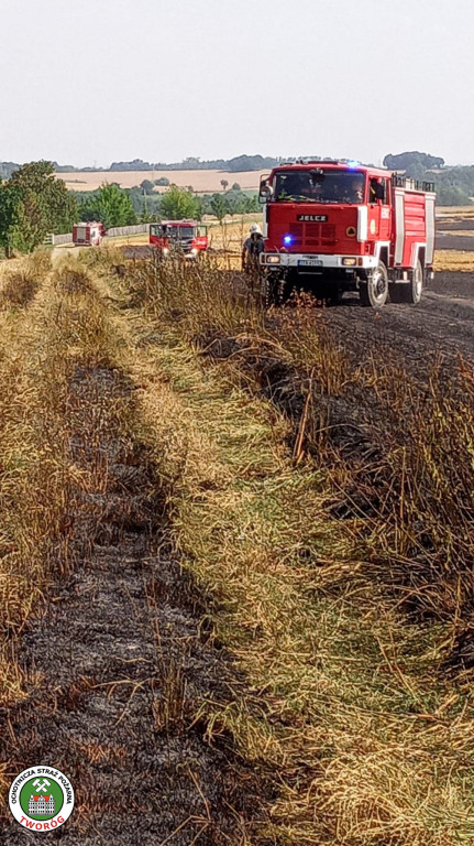 Z pożarem walczyło kilkudziesięciu strażaków i helikopter