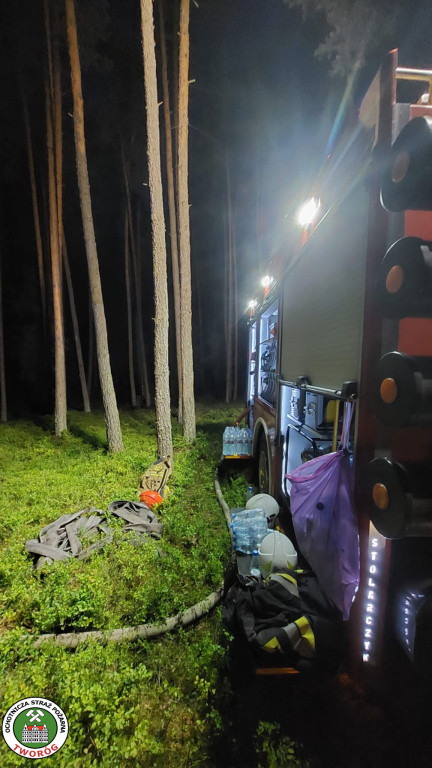 Pożar w lesie. Akcja trwała kilka godzin, 9 zastępów straży pożarnej