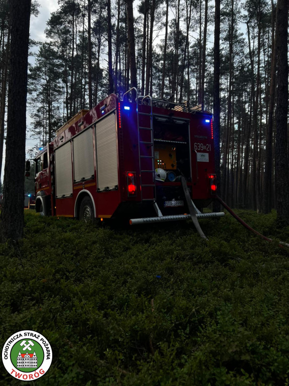 Pożar w lesie. Akcja trwała kilka godzin, 9 zastępów straży pożarnej