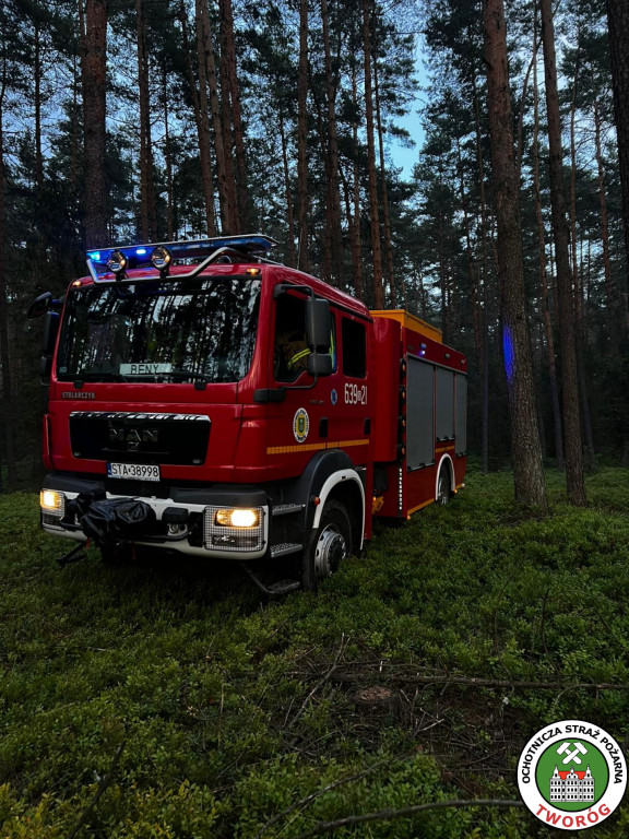 Pożar w lesie. Akcja trwała kilka godzin, 9 zastępów straży pożarnej