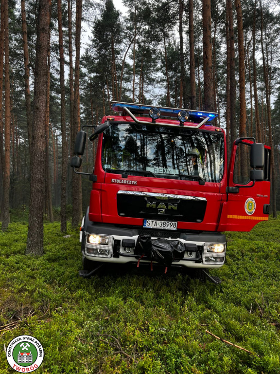 Pożar w lesie. Akcja trwała kilka godzin, 9 zastępów straży pożarnej