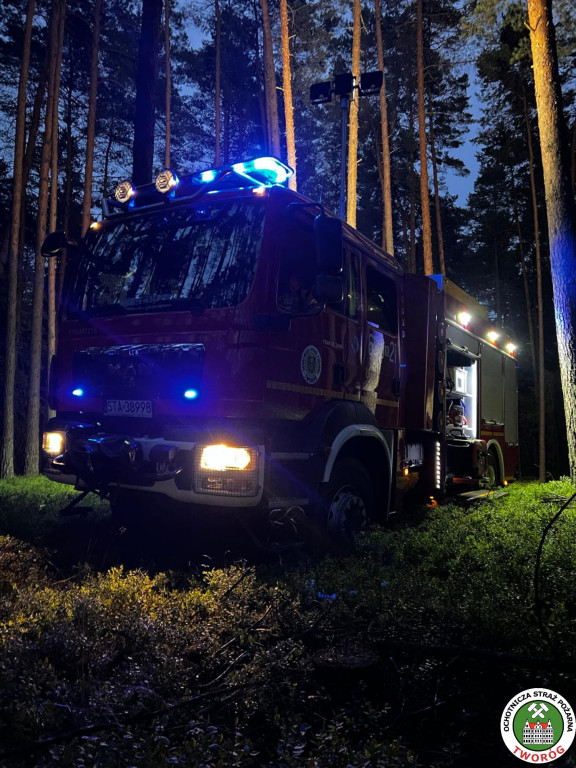 Pożar w lesie. Akcja trwała kilka godzin, 9 zastępów straży pożarnej