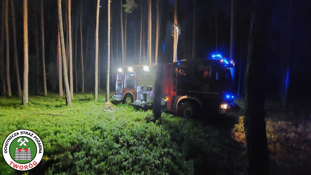 Pożar w lesie. Akcja trwała kilka godzin, 9 zastępów straży pożarnej