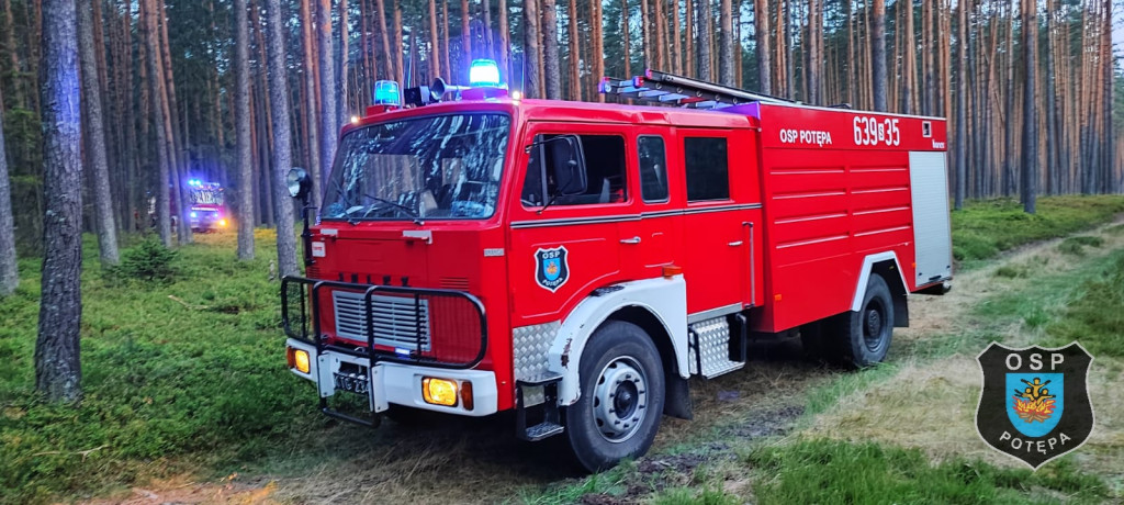 Pożar w lesie. Akcja trwała kilka godzin, 9 zastępów straży pożarnej
