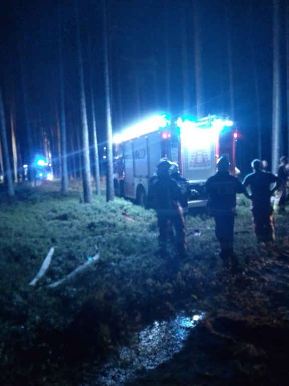Pożar w lesie. Akcja trwała kilka godzin, 9 zastępów straży pożarnej