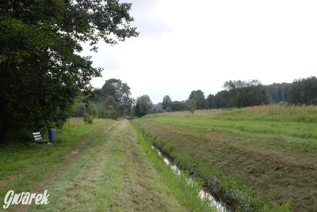 Do rzeczki w Orzechu wraca życie