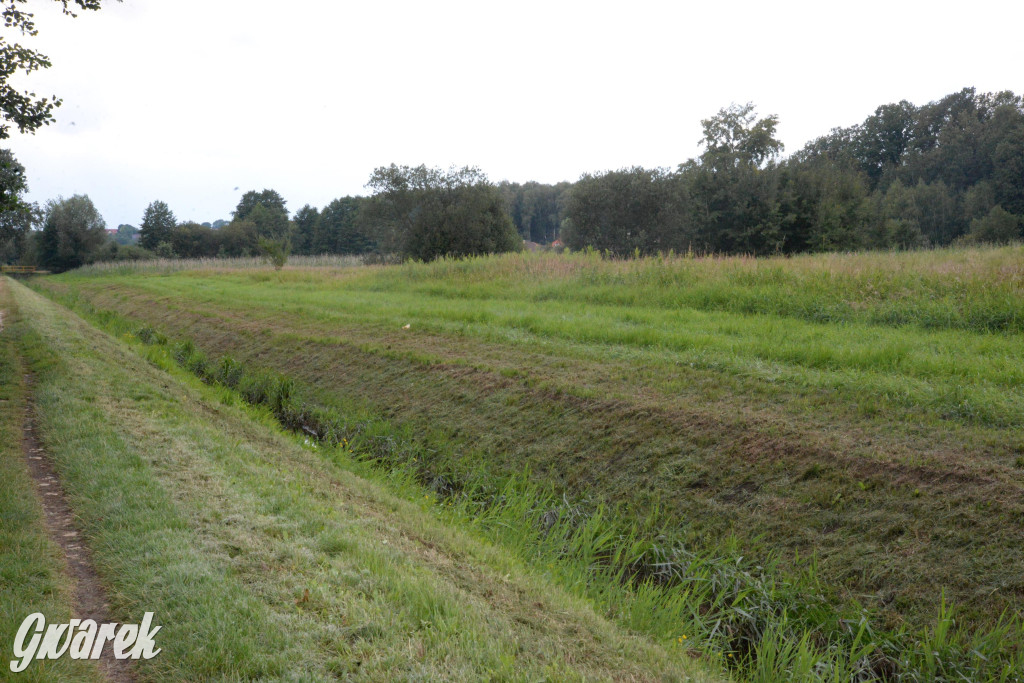 Do rzeczki w Orzechu wraca życie