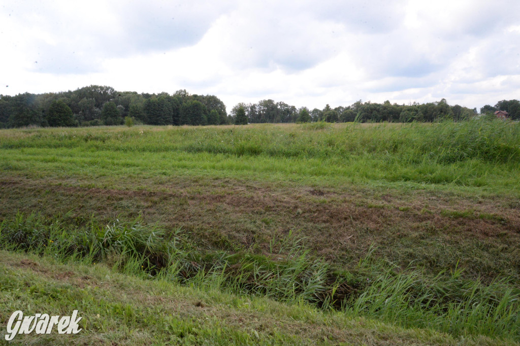 Do rzeczki w Orzechu wraca życie