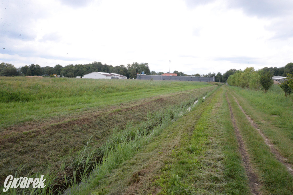 Do rzeczki w Orzechu wraca życie
