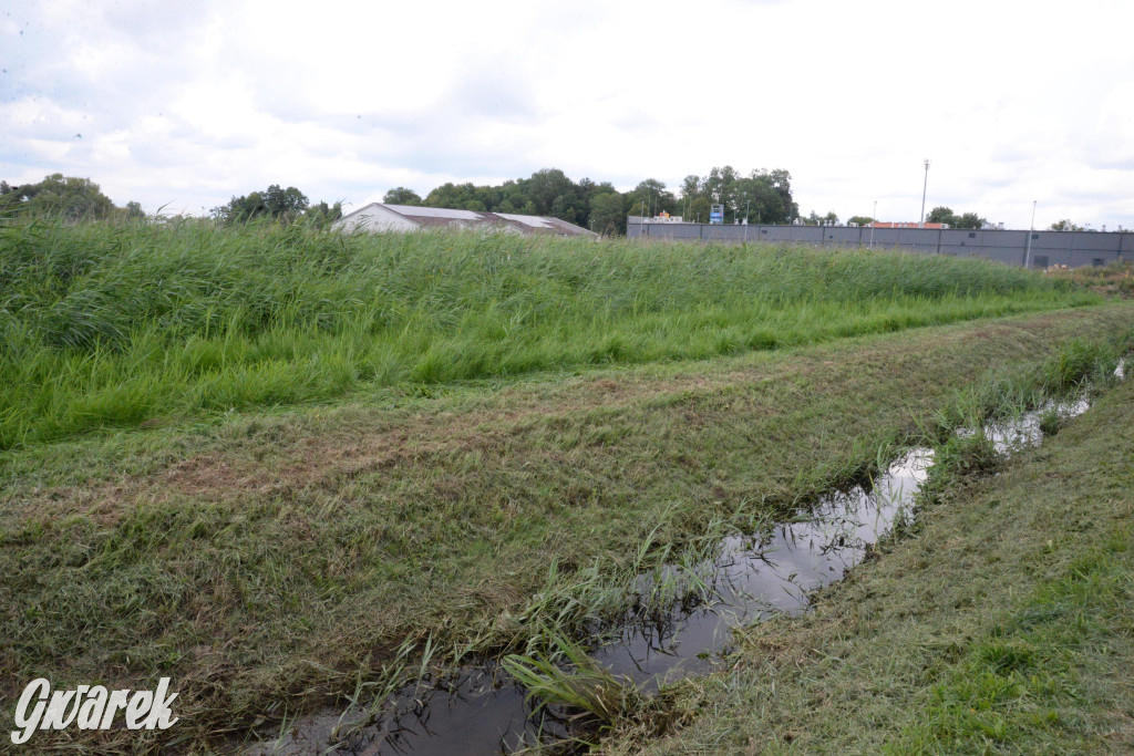 Do rzeczki w Orzechu wraca życie