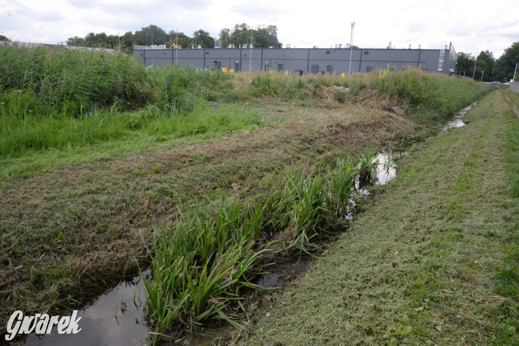 Do rzeczki w Orzechu wraca życie