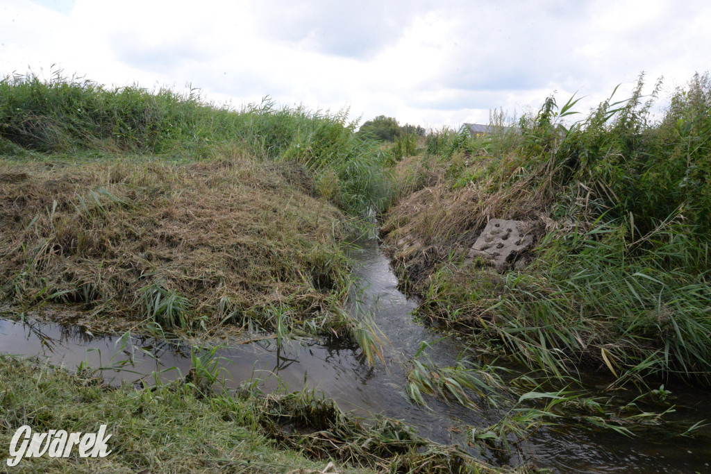 Do rzeczki w Orzechu wraca życie