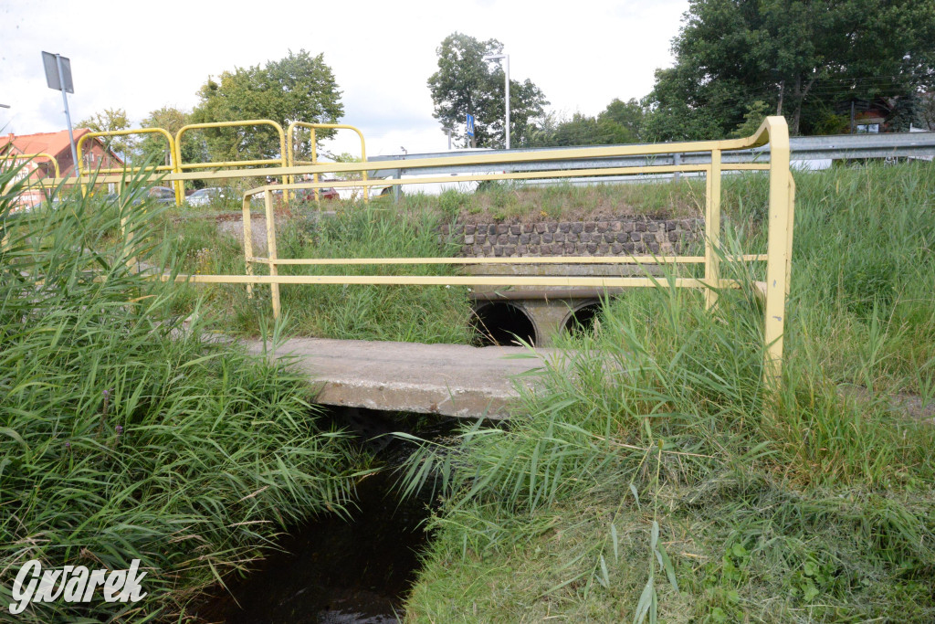 Do rzeczki w Orzechu wraca życie