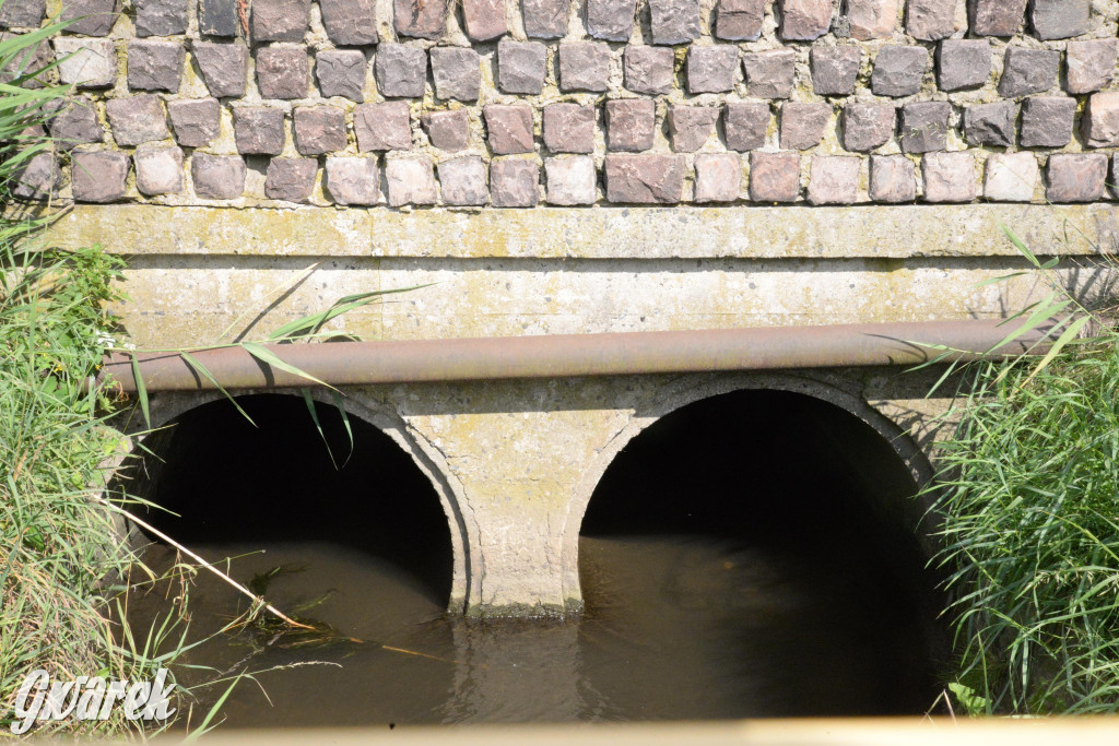 Do rzeczki w Orzechu wraca życie