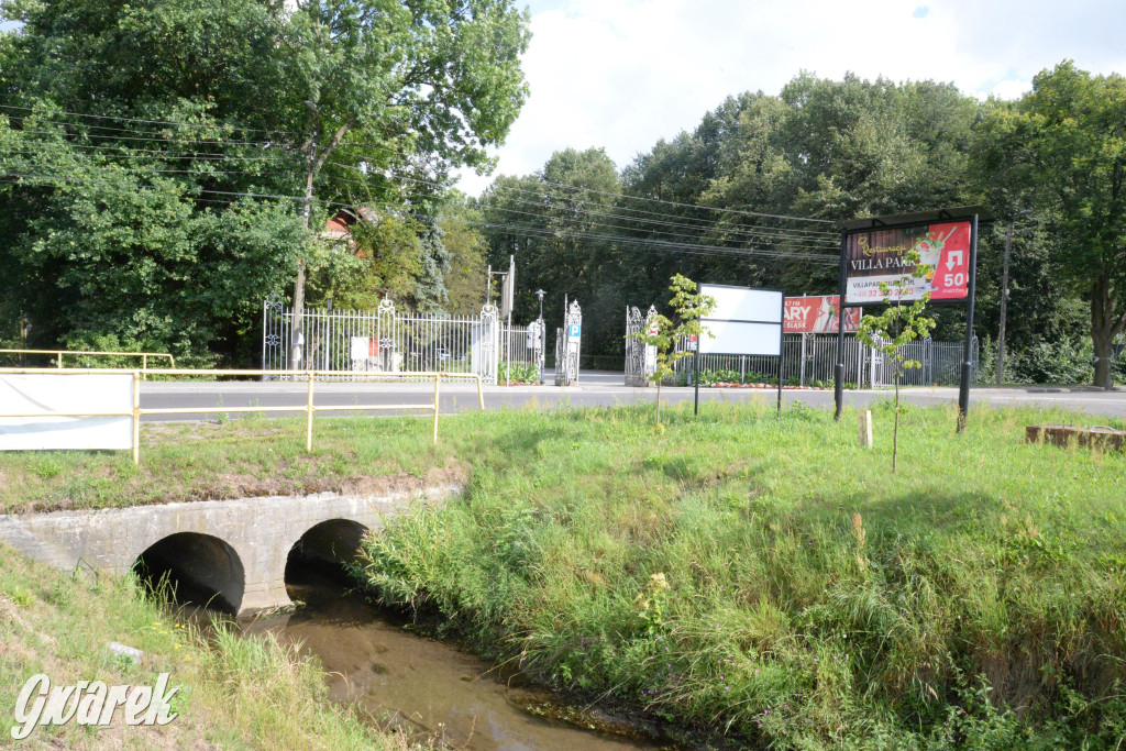 Do rzeczki w Orzechu wraca życie