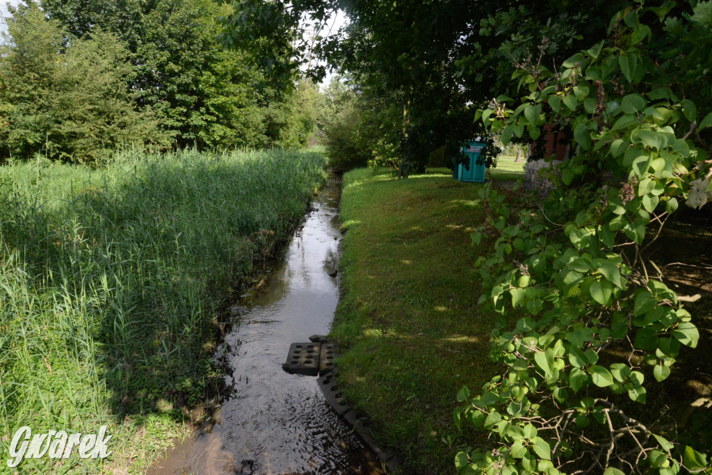 Do rzeczki w Orzechu wraca życie