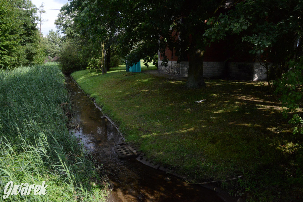 Do rzeczki w Orzechu wraca życie