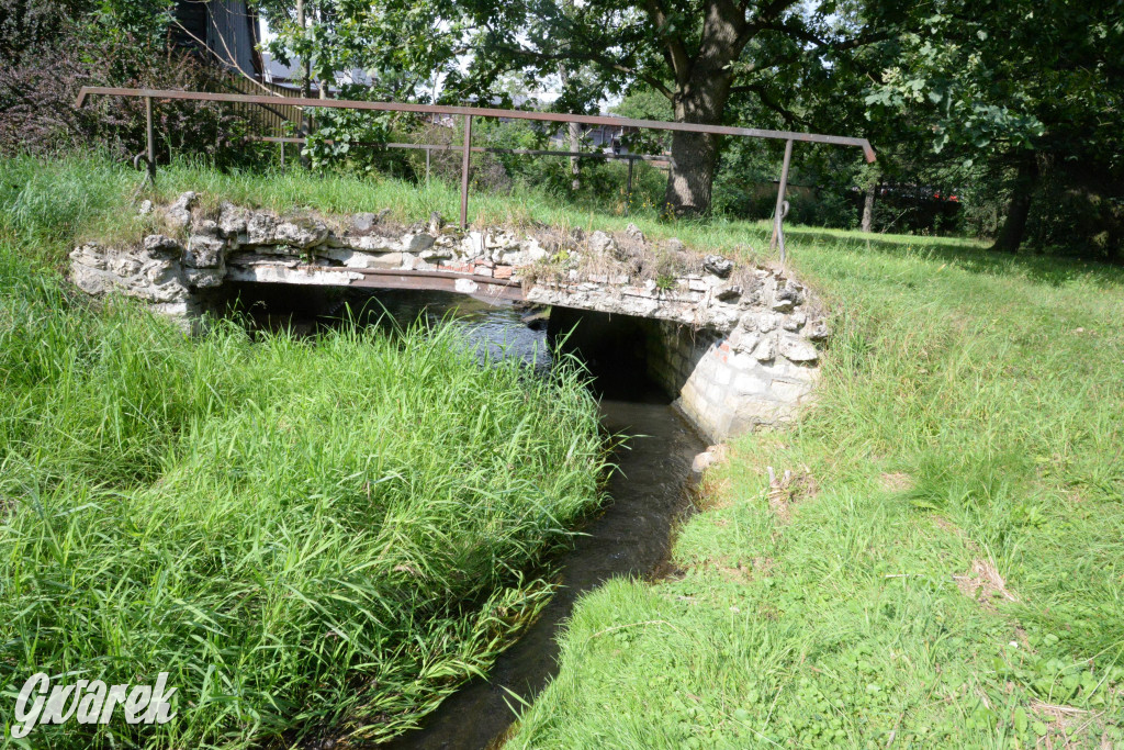 Do rzeczki w Orzechu wraca życie
