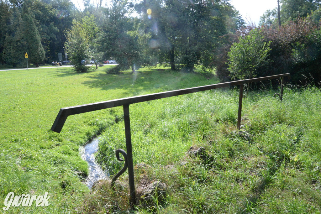 Do rzeczki w Orzechu wraca życie