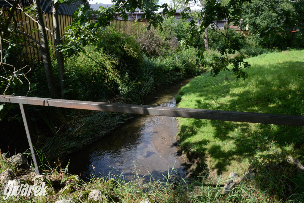 Do rzeczki w Orzechu wraca życie