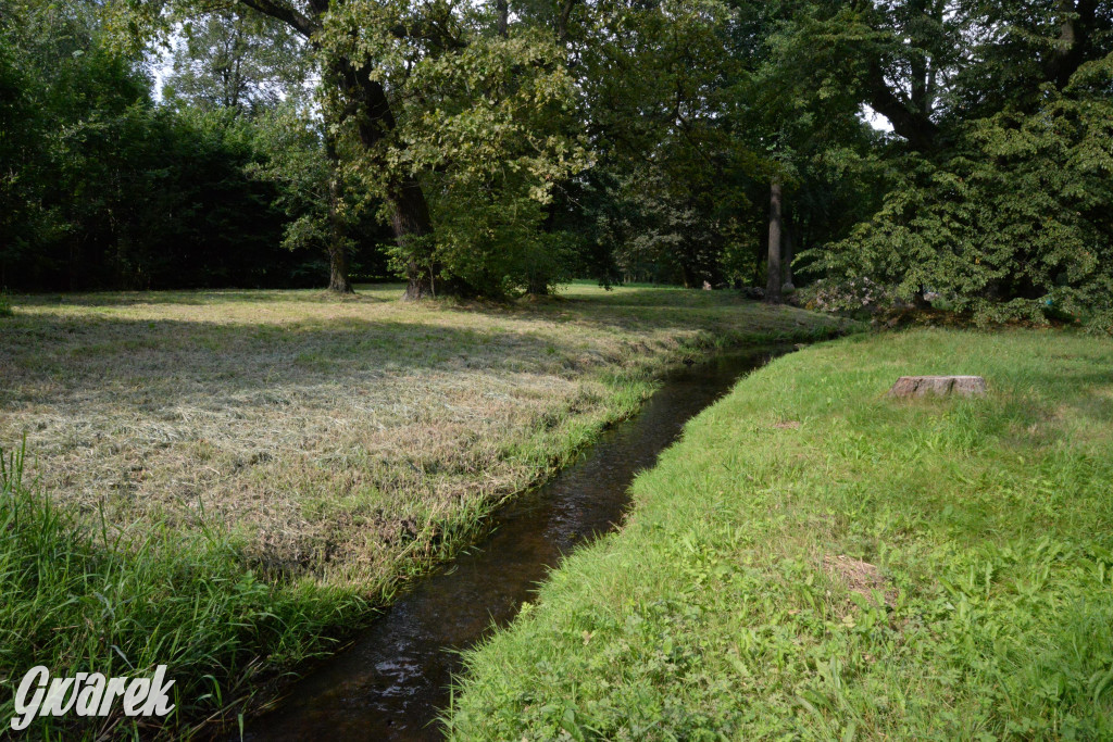 Do rzeczki w Orzechu wraca życie