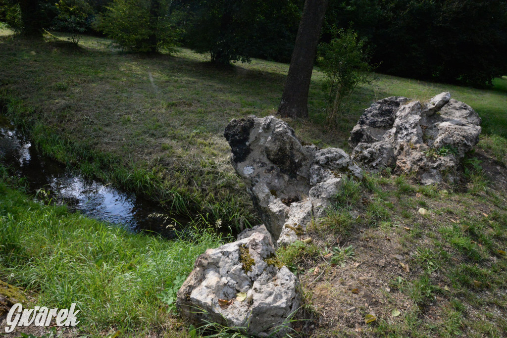 Do rzeczki w Orzechu wraca życie
