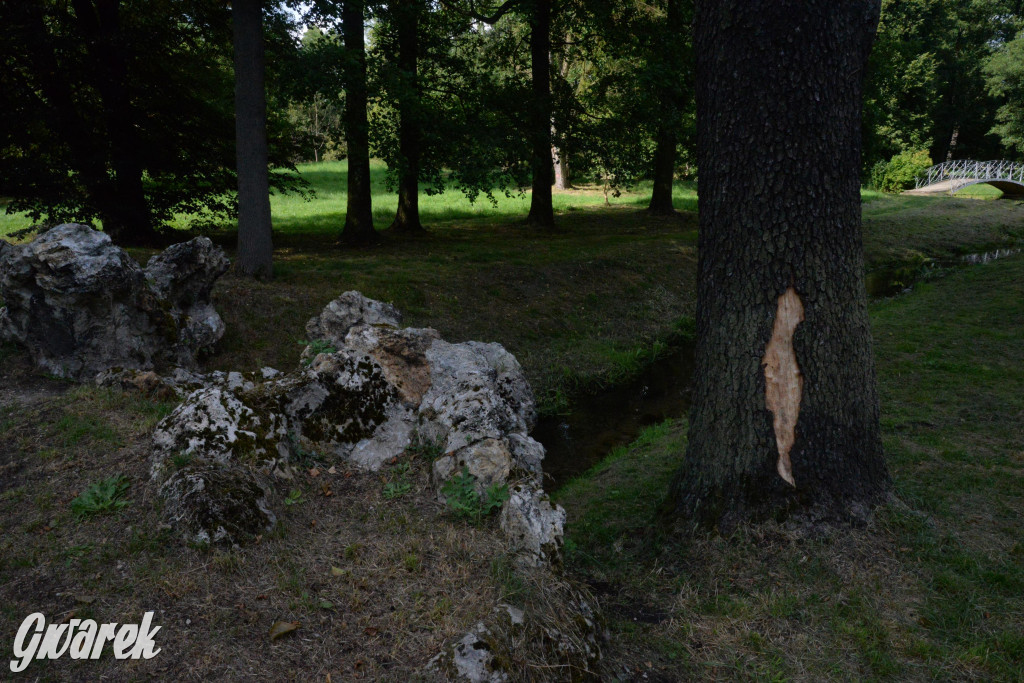 Do rzeczki w Orzechu wraca życie