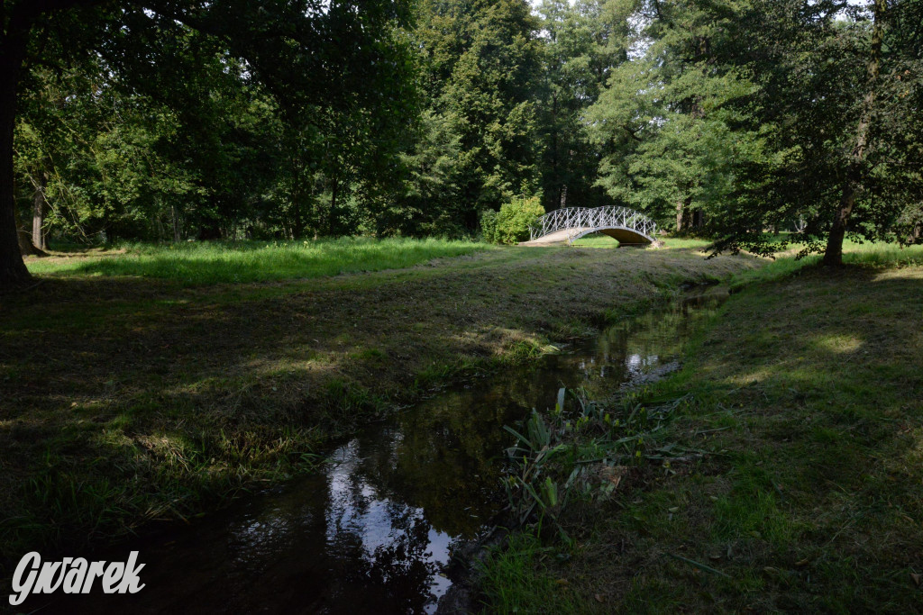 Do rzeczki w Orzechu wraca życie