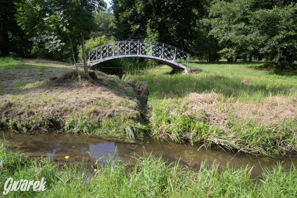 Do rzeczki w Orzechu wraca życie