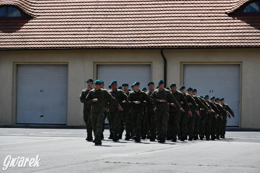 Tarnowskie Góry. Maszerowali i śpiewali [GALERIA]