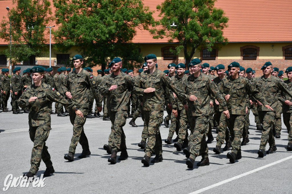 Tarnowskie Góry. Maszerowali i śpiewali [GALERIA]